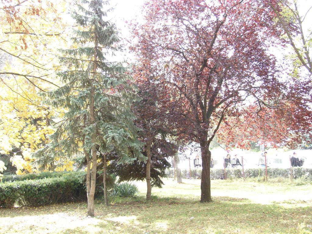 Central City Ap Hermannstadt Exterior foto